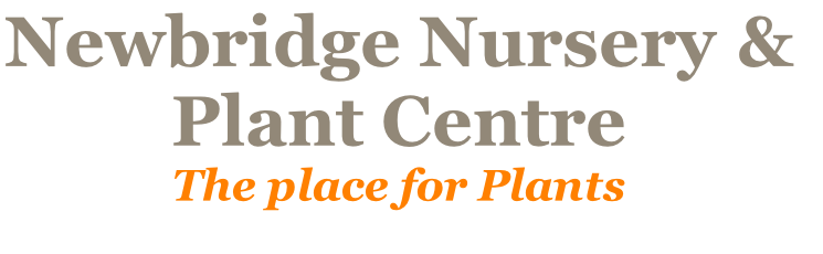 Newbridge Nursery  &
Plant Centre
The place for Plants
